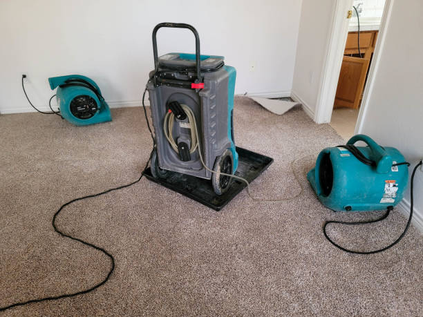Professional Water damage restoration in Millington, MI