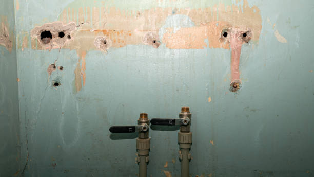 Best Emergency water damage restoration  in Llington, MI